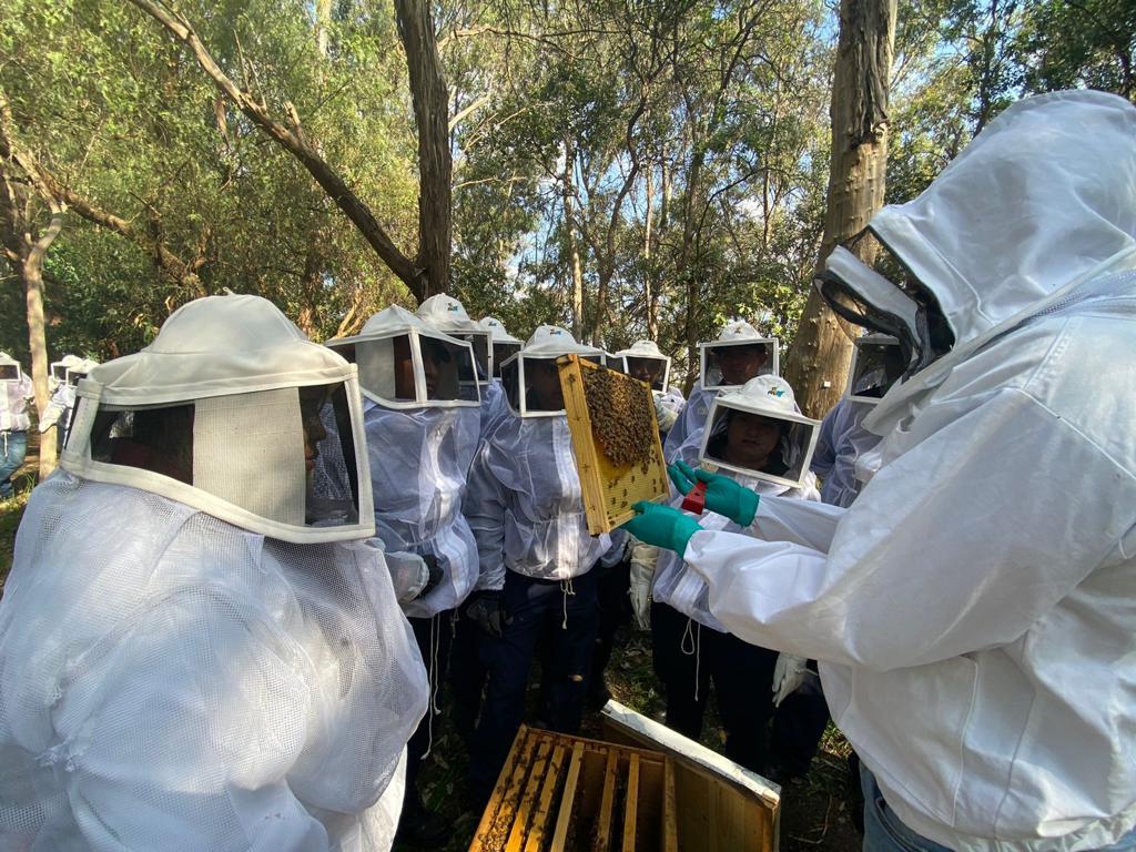 Recibe Heroico Cuerpo de Bomberos capacitación de CORENADR para rescatar más 2 mil 500 panales de abejas al año