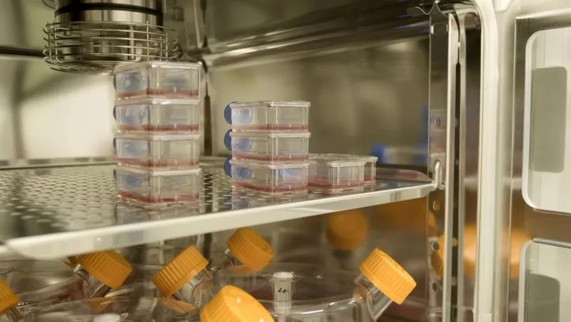 Los pacientes que recibieron sangre artificial en un ensayo clínico «sin precedentes»