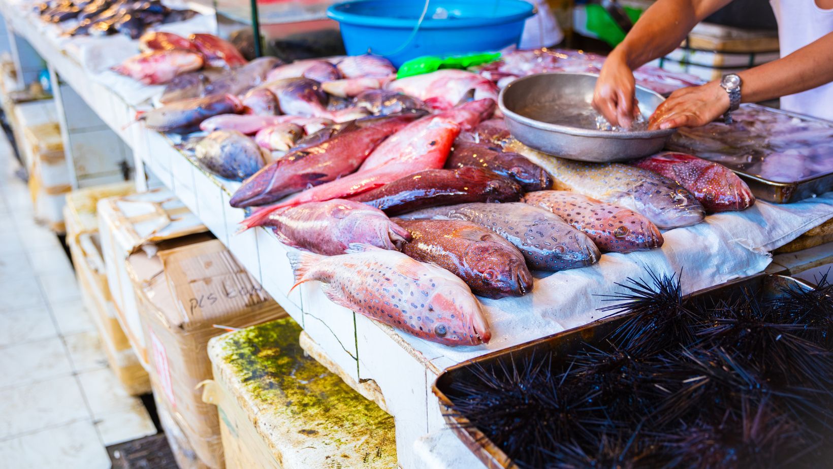 5 tips para seleccionar pescado en el mercado